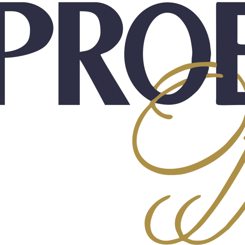 Logo - Proeng Offices